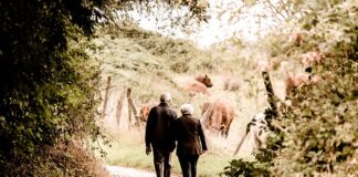 Czy środki z subkonta wlicza się do emerytury? Czy środki z subkonta wlicza się do emerytury?