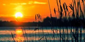 Jakie są rodzaje instrumentów finansowych?