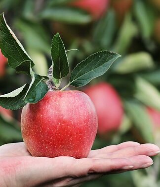 Jak przekazać komuś firmę?