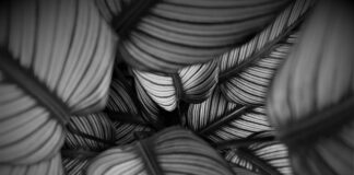 Co to znaczy hurt i detal? Co to znaczy hurt i detal?