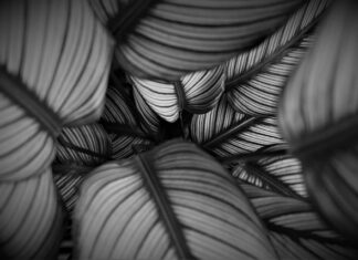 Co to znaczy hurt i detal? Co to znaczy hurt i detal?