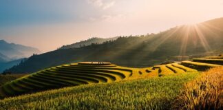 Jak napisać dobry lead?