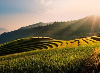 Ile znaków powinien mieć lead?