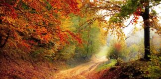 Co powoduje spadek akcji? Co powoduje spadek akcji?