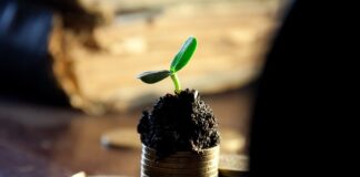 Czy trzeba posiadać akcje w dniu wypłaty dywidendy? Czy trzeba posiadać akcje w dniu wypłaty dywidendy?