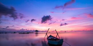 Czy kolor i barwa to to samo?