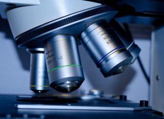 Co dają studia z filozofii?