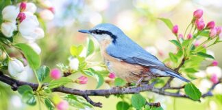 Czym grozi długie siedzenie przy komputerze? Czym grozi długie siedzenie przy komputerze?