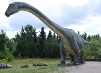 Co to jest triada kolory?