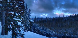 Co po licencjacie z finansów? Co po licencjacie z finansów?