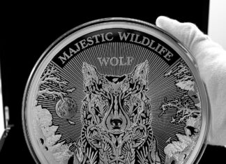 Monety srebrne i złote – idealna kompozycja w kolekcji numizmatów Sklep numizmatyczny