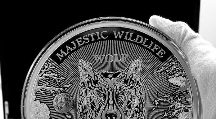 Monety srebrne i złote – idealna kompozycja w kolekcji numizmatów Sklep numizmatyczny